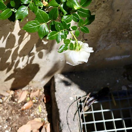 Rentitspain Apartamento Charming Gym, Jacuzzi Y Balcon Estepona Exterior foto